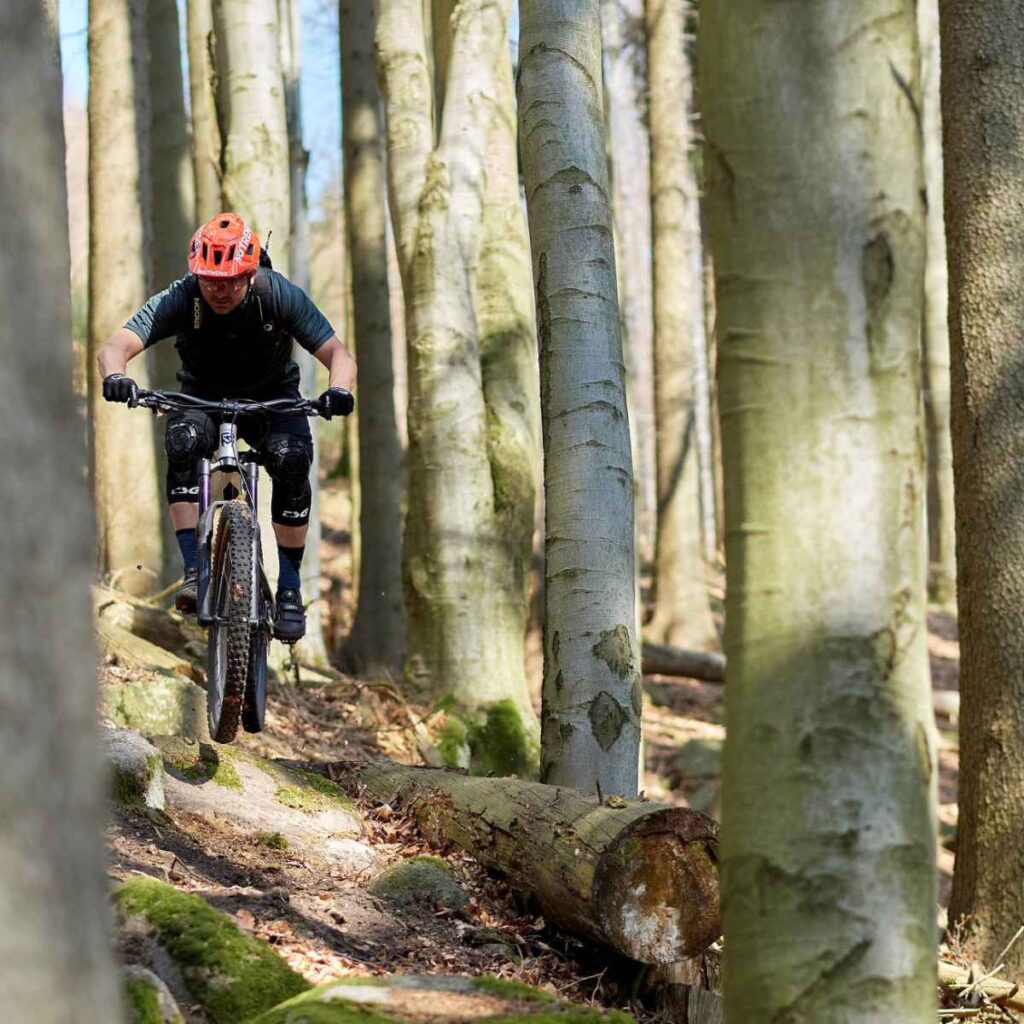 Singltreky.cz Trailpark Plešivec singltrek trail