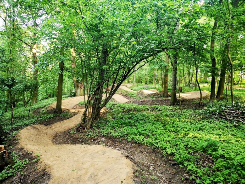 singletrail Střížovický vrch trail singltrek singltreky.cz