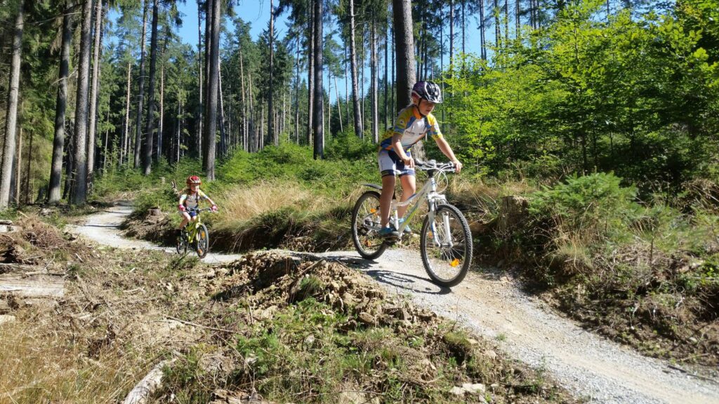 singltrail frymburk singltreky.cz singltrek traily