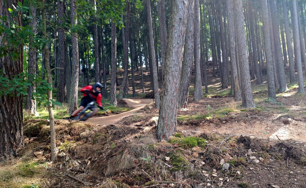 Aktuálně z trailů bike x zone singltreky.cz
