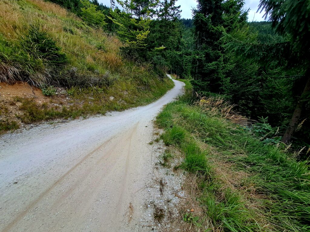 Singltrek singltreky.cz