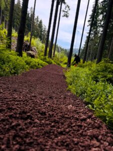 druhá fáze úprava trailu singltreky.cz