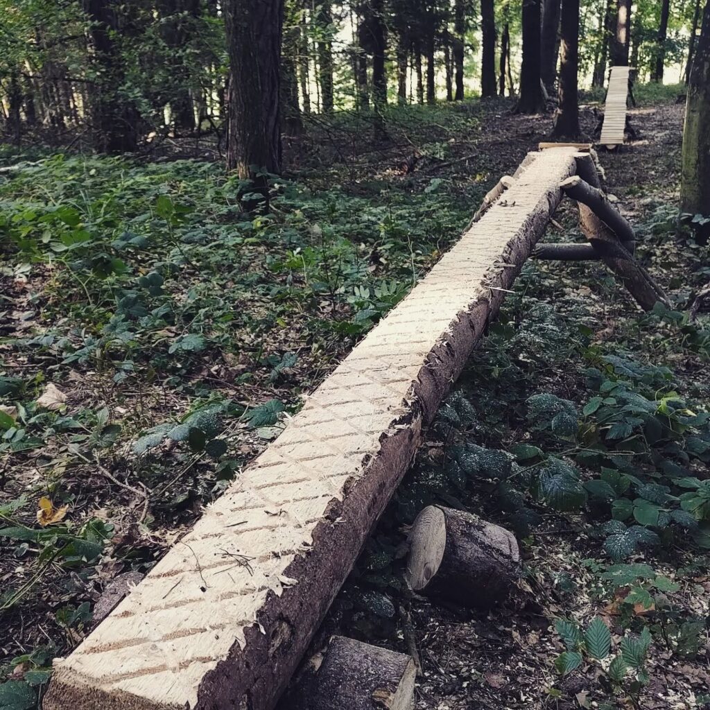 aktuálně foto singltreky.cz