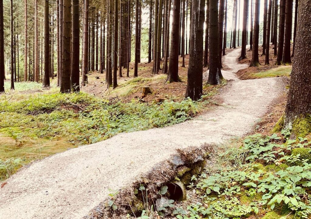 aktuálně foto 10.9.2 singltreky.cz