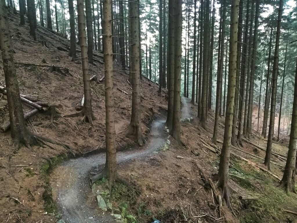 Singltrek pod Smrkem singltreky.cz