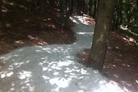 Beskydské traily trail singltrek beskydy mtb singltetrails