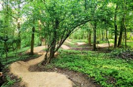 singletrail Střížovický vrch trail singltrek singltreky.cz